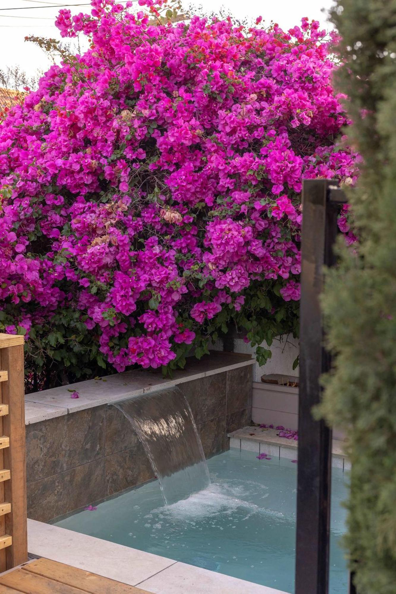 Ocean Views And Oasis House Holiday home San Diego
