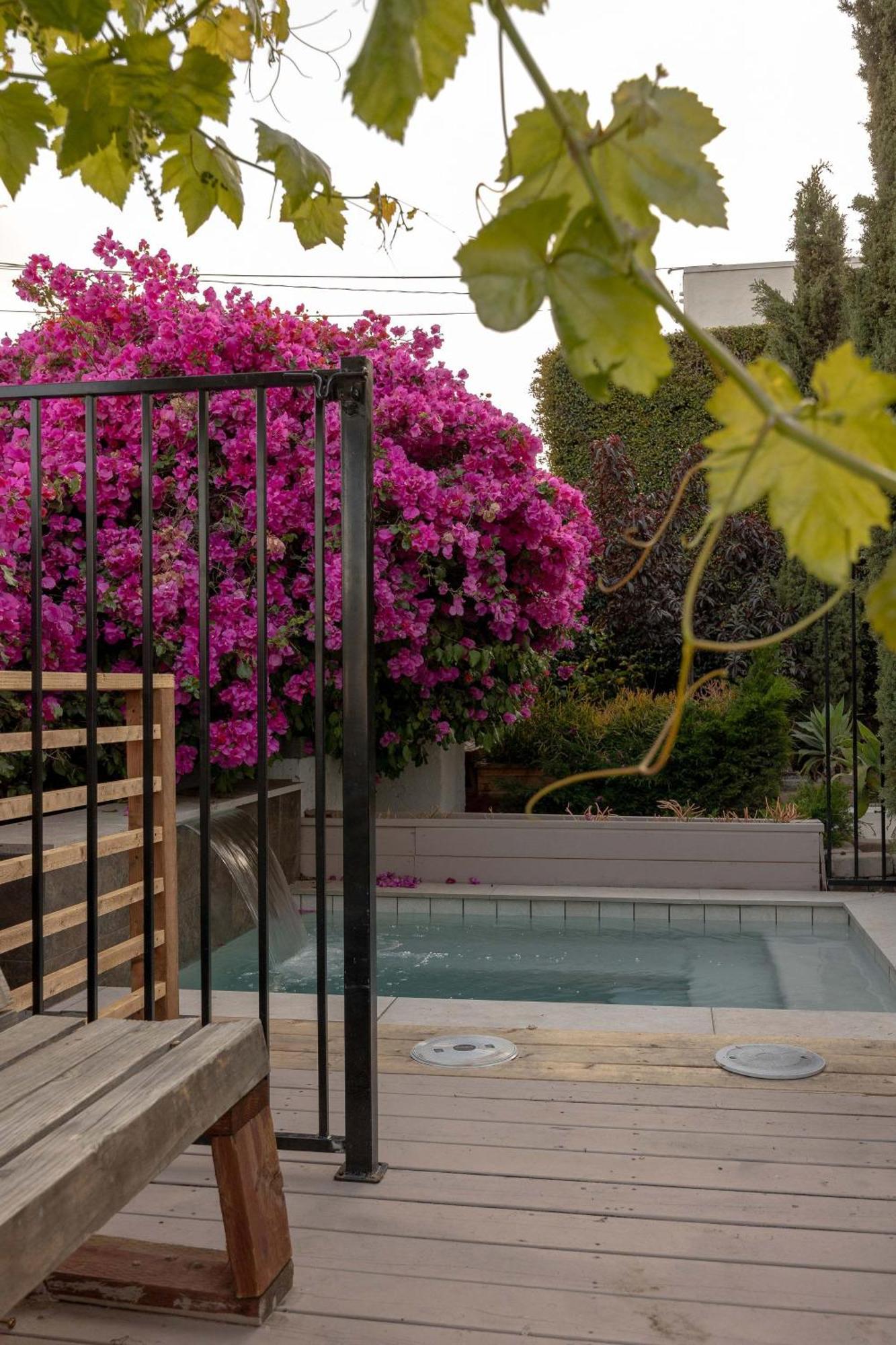 Ocean Views And Oasis House * San Diego